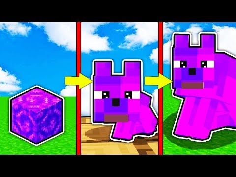 Видео: КАК МЕНЯЛСЯ ПОРТАЛЬНЫЙ СОБАКА МОБ И ЕГО ЖИЗНЕННЫЙ ЦИКЛ В МАЙНКРАФТ ! ЭВОЛЮЦИЯ ТРОЛЛИНГ MINECRAFT