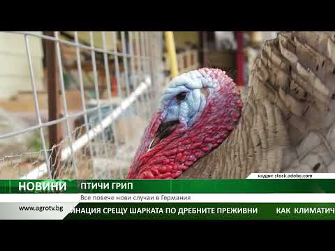 Видео: Централна емисия новини на АГРО ТВ – 30.10.2025 г.