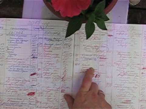 Видео: Мой доход с деревенского огорода.Все расчеты!