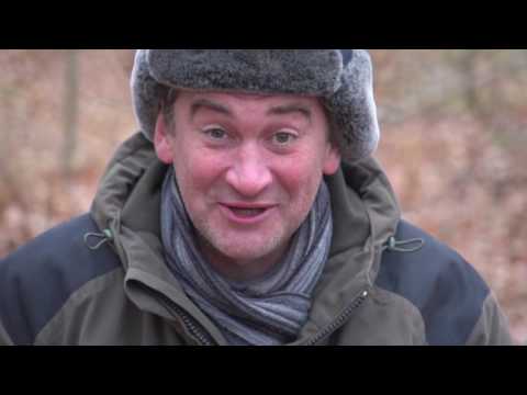 Видео: Уроки выживания в дикой природе. Сезон 1. Костер в лесу