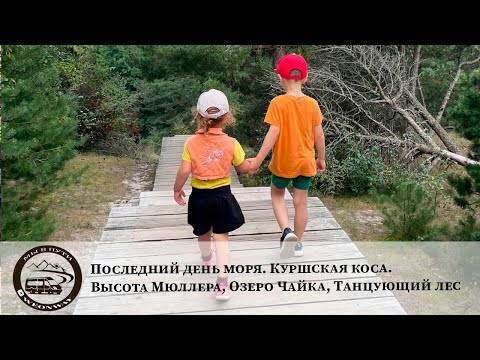 Видео: Последний день моря. Куршская коса. Высота Мюллера, Озеро Чайка, Танцующий лес