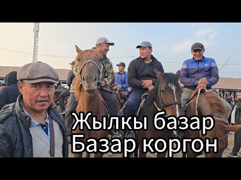 Видео: Бүгүнкү жылкы базар 19 октября 2025  #базаркоргон #жылкыбазар #атбазар #rek #horse #той 
