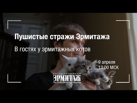 Видео: Премьера: Пушистые стражи Эрмитажа. В гостях у эрмитажных котов