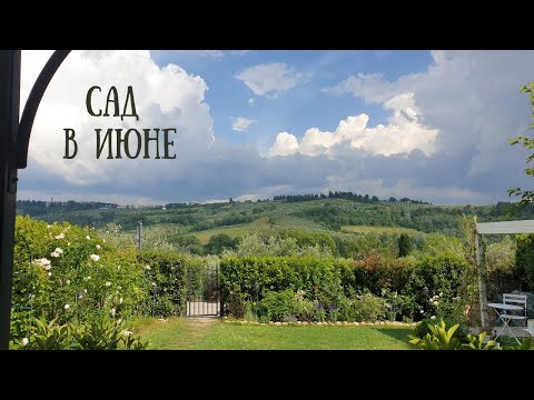 Видео: Розы, жасмин, гортензии, шалфей... июнь в моём саду под солнцем Тосканы и его окрестностях
