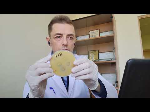 Видео: Особенности бакпосевов материала от животных. Грубые ошибки при микробиологических исследованиях.
