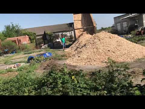 Видео: Щепа для мульчирование ежевики.
