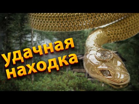 Видео: 💥/Нашел золотую змейку, но эта находка для него оказалась роковой/