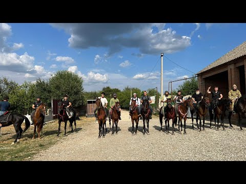 Видео: Поход в лес с братьями