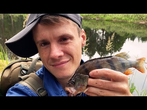 Видео: МХ-33/2 Корейская Еда.Рыбалка в Гонку на Горох на Пре.Спиннинг!Копчение.