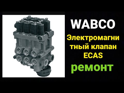 Видео: WABCO 0003276825  Электромагнитный клапан ECAS  ремонт.
Wabco ecas.