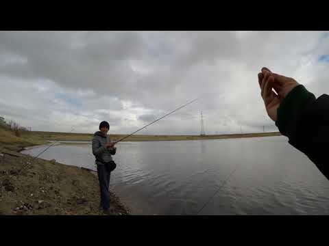 Видео: Тест Norstream Experience VS Zetrix Ambition-Z