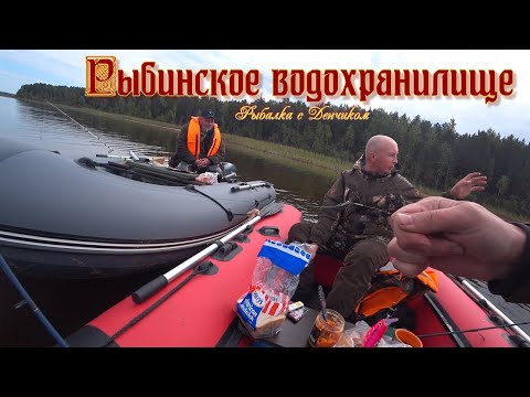 Видео: Отличная рыбалка на Рыбинском водохранилище. Осенняя рыбалка на щуку и окуня. Троллинг и в заброс.