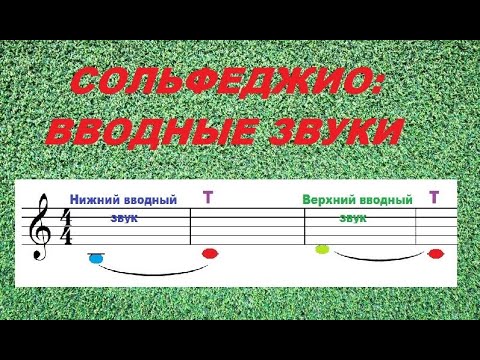 Видео: Сольфеджио: ВВОДНЫЕ ЗВУКИ. Куда же они всё-таки вводят???