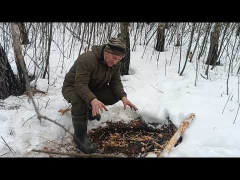 Видео: ОХОТА НА БОБРА КАПКАНАМИ. ВЫСТАВЛЯЮ В ДИКОМ БОЛОТЕ.#охотанабобра#капканы#охотанабобракапканами#охота