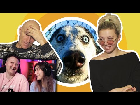 Видео: ВЗРОСЛЫЕ И МОЛОДЫЕ ОТГАДЫВАЮТ УПОРОТЫЕ ЗАГАДКИ | РЕАКЦИЯ на DaiFiveTop