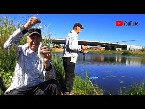 Видео: Рыбалка на донку. Река ИШИМ.  fideer fishing ASTANA