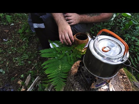 Видео: Одиночный поход в лес.Походные блинчики с дымком  на печке-щепочнице.
