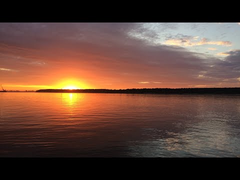 Видео: Рыбалка на Оби в День рыбака. Ловля щуки и окуня.