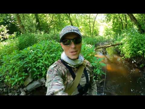 Видео: Рыбалка в Москве. Спиннинг-ультралайт на ручье. #fishing #nature #spinning #travel