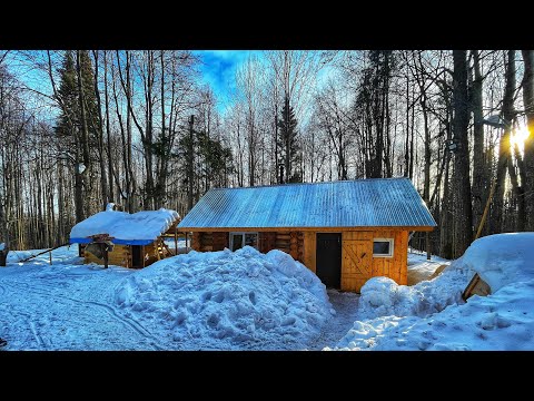 Видео: Гости на участке | Лесная заимка | Готовимся к сезону