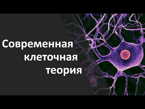 Видео: 2.1 Современная клеточная теория