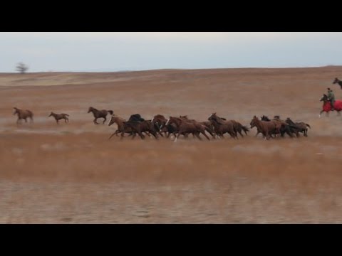 Видео: О потомственном казаке Н.В. Орлове из с.Угольное. Соль-Илецкое телевидение
