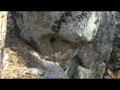 Видео: Рачейские альпы.Природный заповедник Самарской области