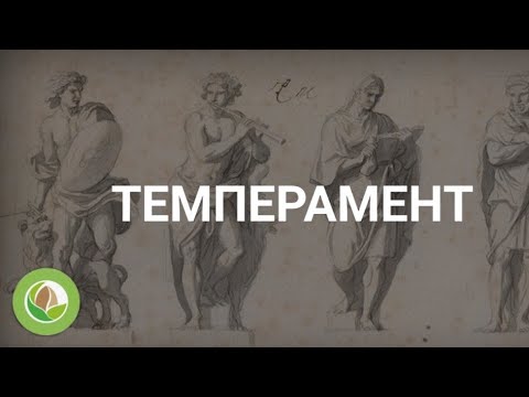 Видео: Бактыгүл Майжанова - 18 - Темперамент