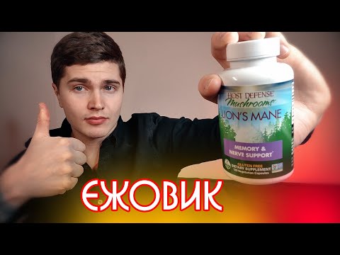 Видео: ЕЖОВИК ГРЕБЕНЧАТЫЙ ПРИНИМАЛ 3 месяца (ЭКСПЕРИМЕНТ) | МОЙ ОПЫТ | Lion's Mane | РАЗВИТИЕ МОЗГА 🅰