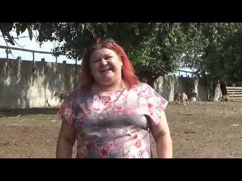 Видео: Туристичний гід #Катеринопіль