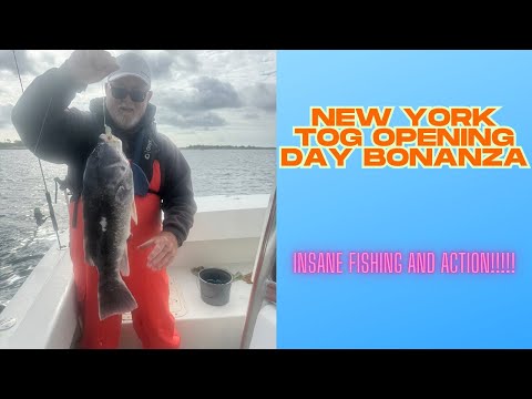 Видео: День открытия фестиваля Blackfish в Нью-Йорке — настоящий пир!