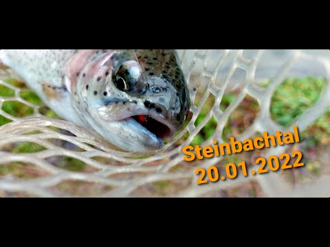 Видео: Steinbachtal 20.01.2022 Ловля форели на платном озере в Германии.