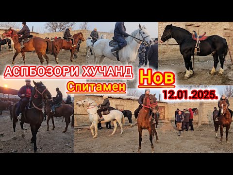 Видео: АСП БОЗОРИ ХУДЧАНД СПИТОМЕН НОВ АСПХОИ БУЗИ БАЙТАЛИ БУГУЗИ ТОЙ ФУРУШИ БУРОМАД