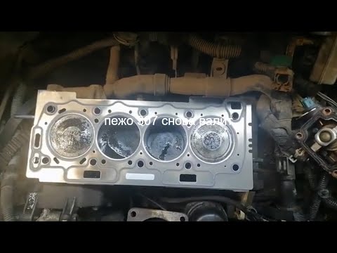 Видео: Пежо 307 снова валит!!!