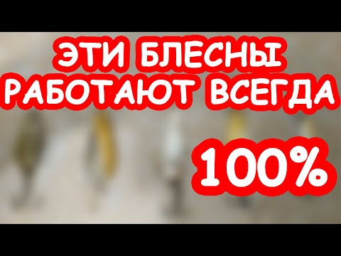 Видео: Эти блесны ловят всегда. Простая рыбалка на щуку в бесклевье