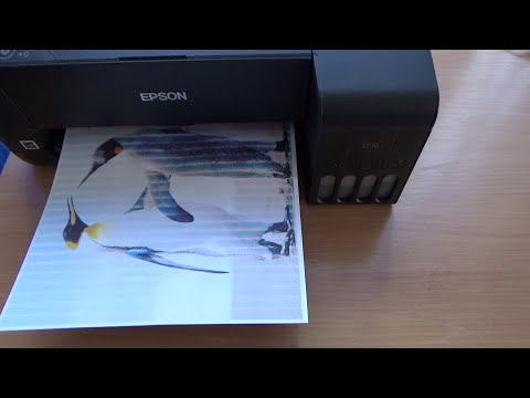 Видео: Как починить принтер, если он печатает полосами. На примере EPSON.