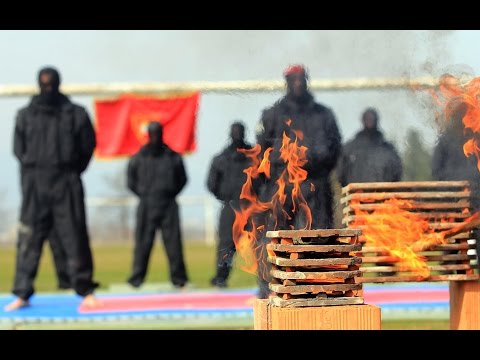 Видео: БСН Волци - документарен филм