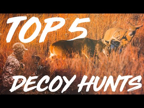 Видео: 5 самых агрессивных способов охоты на приманку! Эти самцы ПРОИГРАЛИ!