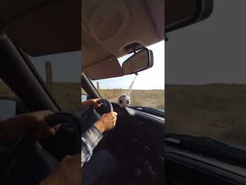 Видео: Проезд на старый локатор!!! Всем осеннего настроения🐟🐟👍