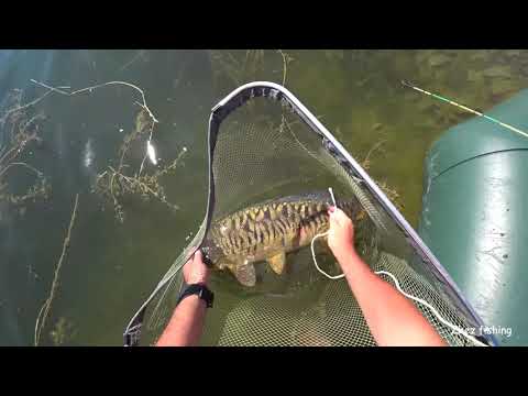 Видео: ЛОВЛЯ ДИКОГО КАРПА, САЗАНА ЛЕТОМ! Жезказган Кенгирское водохранилищеавгуст 2021.