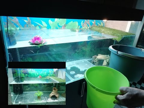 Видео: Красноухие черепахи. Как правильно чистить большие аквариумы. Мой метод.