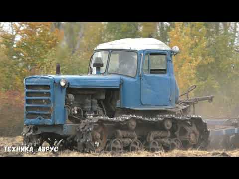 Видео: Трактор ДТ-75М Казахстан  с бороной БДТ-3 на повторном дисковании