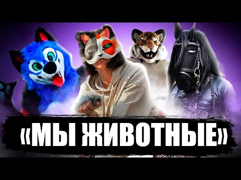 Видео: «МЫ ЖИВОТНЫЕ»: ФУРРИ, ТЕРИАНТРОПЫ, КВАДРОБИКА, ПАППИ ПЛЕЙ