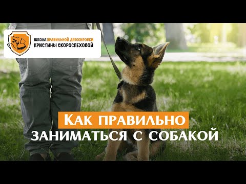 Видео: Как часто и по сколько времени заниматься, чтобы был результат? Как выстроить занятие?