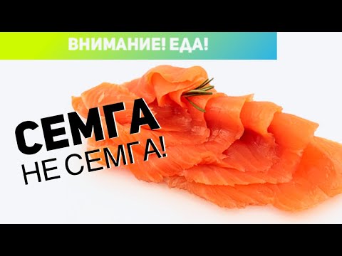 Видео: Внимание! Еда! СЕМГА НЕ СЕМГА!