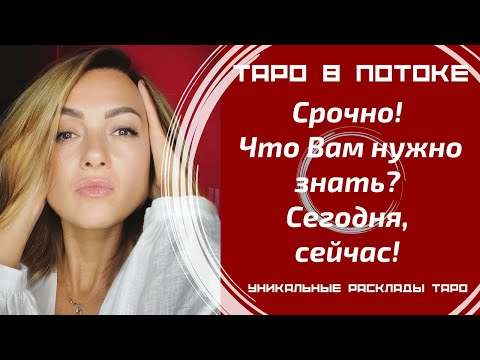 Видео: Срочно! Что мне нужно знать? Сегодня, сейчас! Совет от высших сил для ВАС!