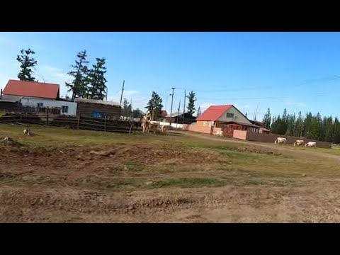 Видео: Село Кюндяде Нюрбинского Улуса, Якутия - красивое и уютное место на берегу реки Вилюй, 2023