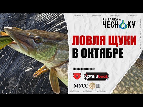 Видео: Ловля щуки на спиннинг в октябре: Тактика и техника