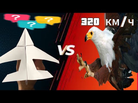 Видео: Қағаздан не жасауға болады ??қағаздан ұшақ жасау 😱