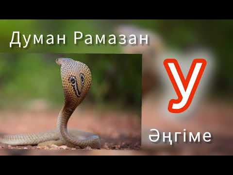 Видео: У. «Қалайда бүгін улы жылан тауып, басын қайнатып, суын ішкізіп, жарасын сүртуім керек!» 